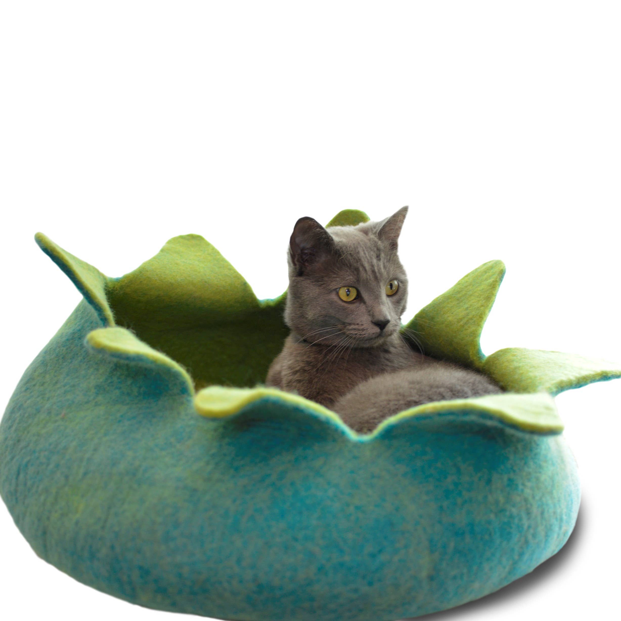 Dharma Dog Karma Cat - Aqua/ Green Petal Wool Pet Basket: 14"